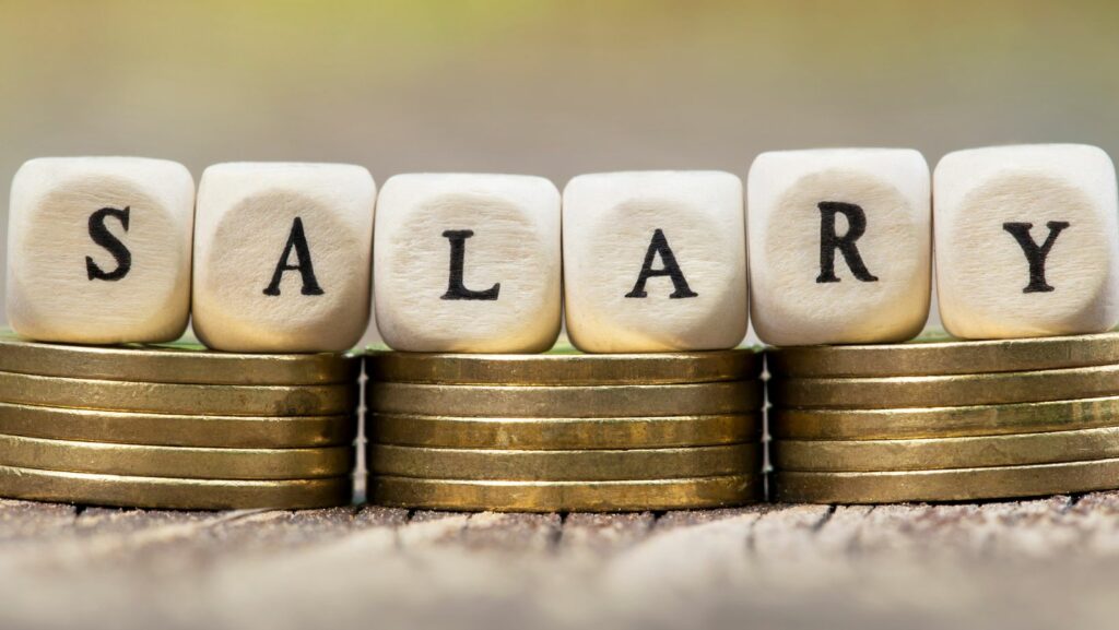 a wage/salary survey indicates