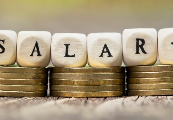 a wage/salary survey indicates
